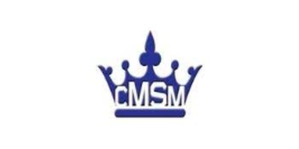 MSM